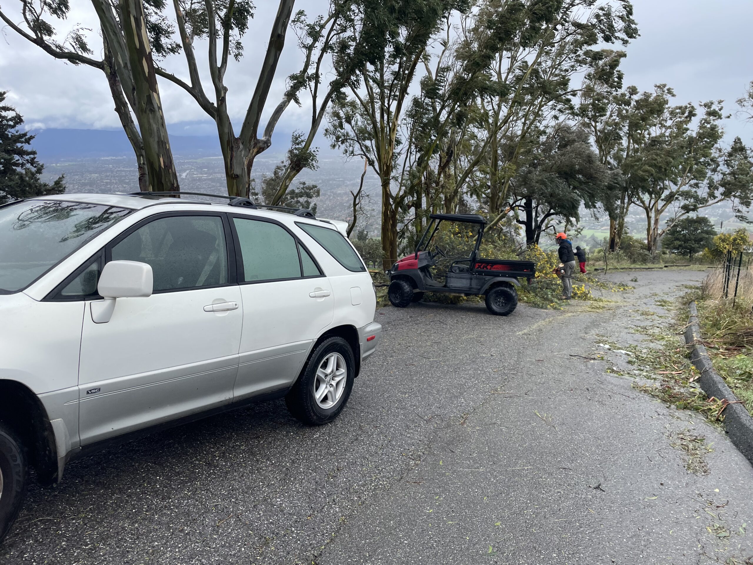 tree blocking road on Higuera Highland